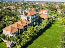 Фото отеля Kiskenda Cottages