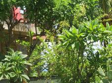 Фото отеля Amed Sari Beach Guesthouse