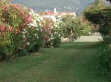 Фото отеля Feeloxenia Corfu Harris Apartments
