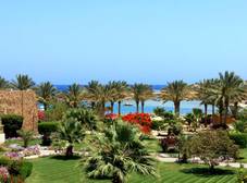 Фото отеля Brayka Bay Resort