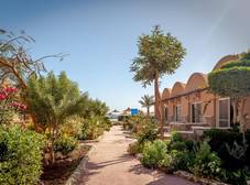 Фото отеля Silver Beach El Quseir