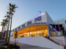 Фото отеля Milea Hotel