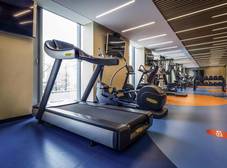 Фото отеля ibis Almaty Jetisu