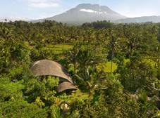 Фото отеля Hideout Bali