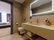 Фото отеля Hotel Monarch