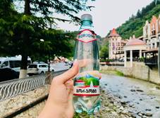 Фото отеля Holiday Borjomi