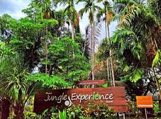 Фото отеля Phuket Jungle Experience Resort