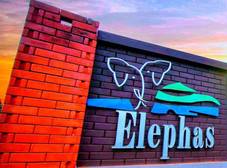 Фото отеля Elephas Resort & Spa