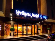 Фото отеля Wellness Hotel and Spa