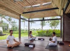 Фото отеля Gdas Bali Health and Wellness Resort