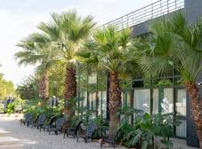 Фото отеля Inno Concept Hotel
