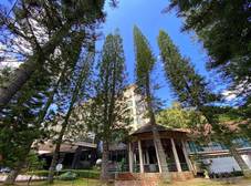 Фото отеля Century Pines Resort Cameron Highlands