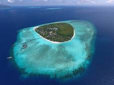 Фото отеля Pom Pom Island Resort