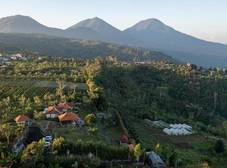 Фото отеля Munduk Tentrem Resort
