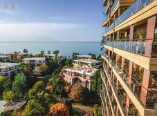 Фото отеля Dreamland Oasis Hotel