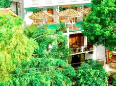 Фото отеля Mirissa Beach Inn