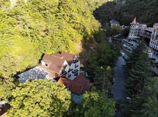 Фото отеля Borjomi UnderWood Hotel