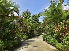 Фото отеля Rainforest Resort