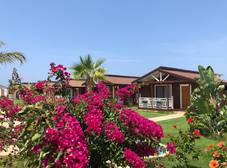Фото отеля Sedir Park Bungalow Hotel