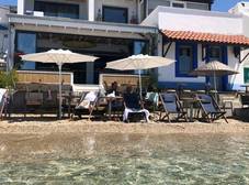 Фото отеля Surfer Caravan Gastro Pub & Suites