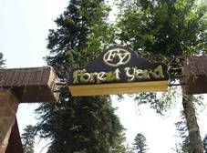 Фото отеля Forest Yard