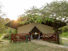 Фото отеля Mbuzi Mawe Serena Camp